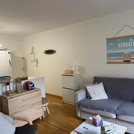 Moderne A Hendaye, Proche Commerces, Salon Lumineux, Terrasse Et Parking Prive - Fr-1-239-1019