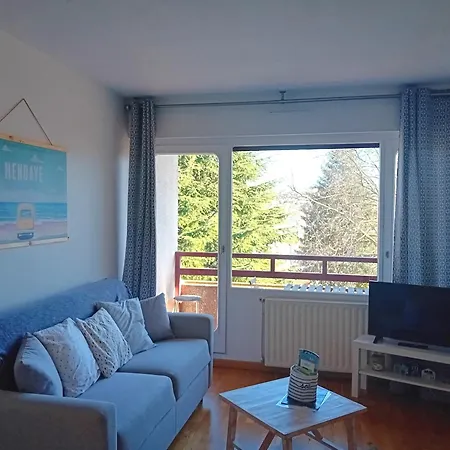 Daire Moderne A Hendaye, Proche Commerces, Salon Lumineux, Terrasse Et Parking Prive - Fr-1-239-1019 *